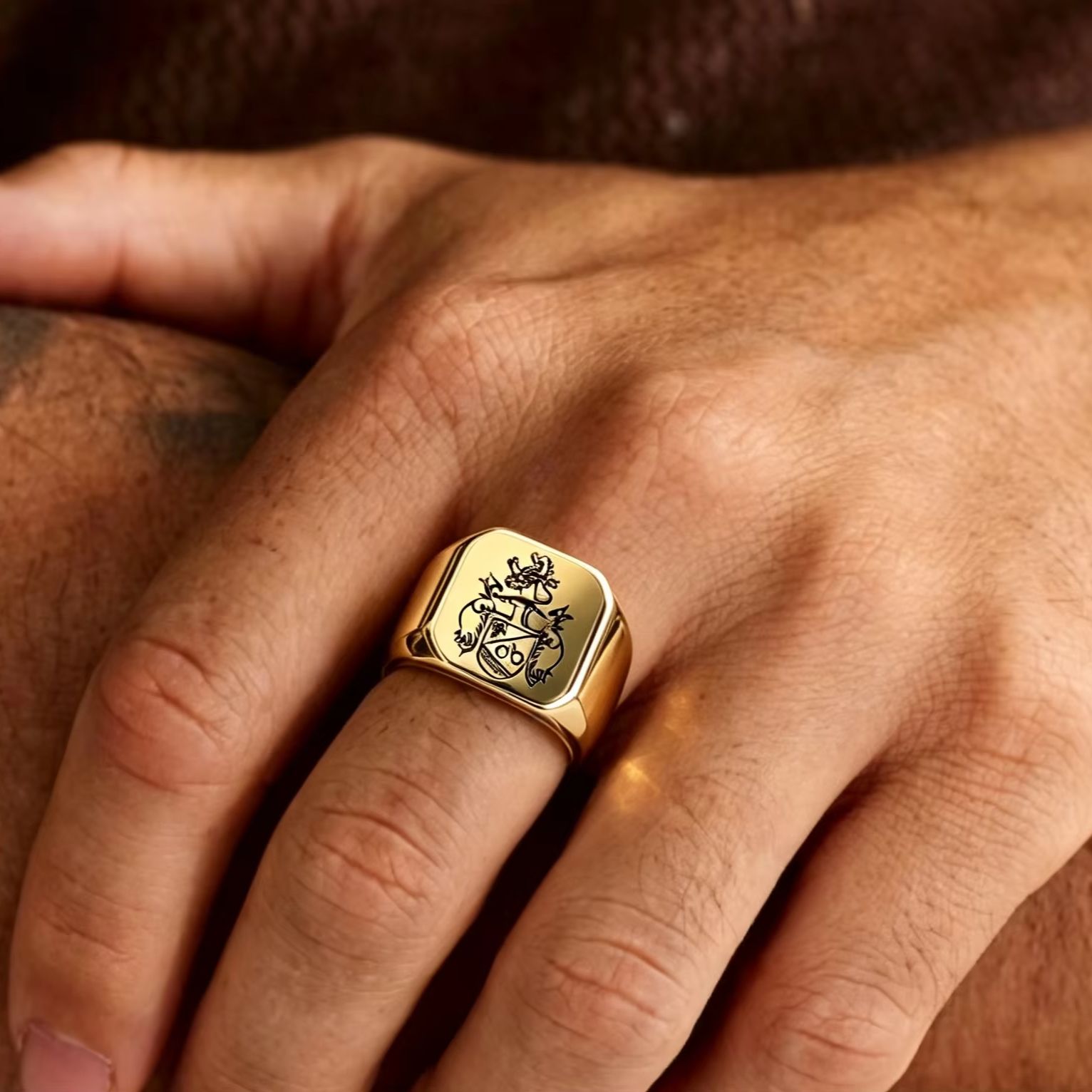 Cincin Stempel Lambang Keluarg - Mens Signet Ring ulasan dan harga