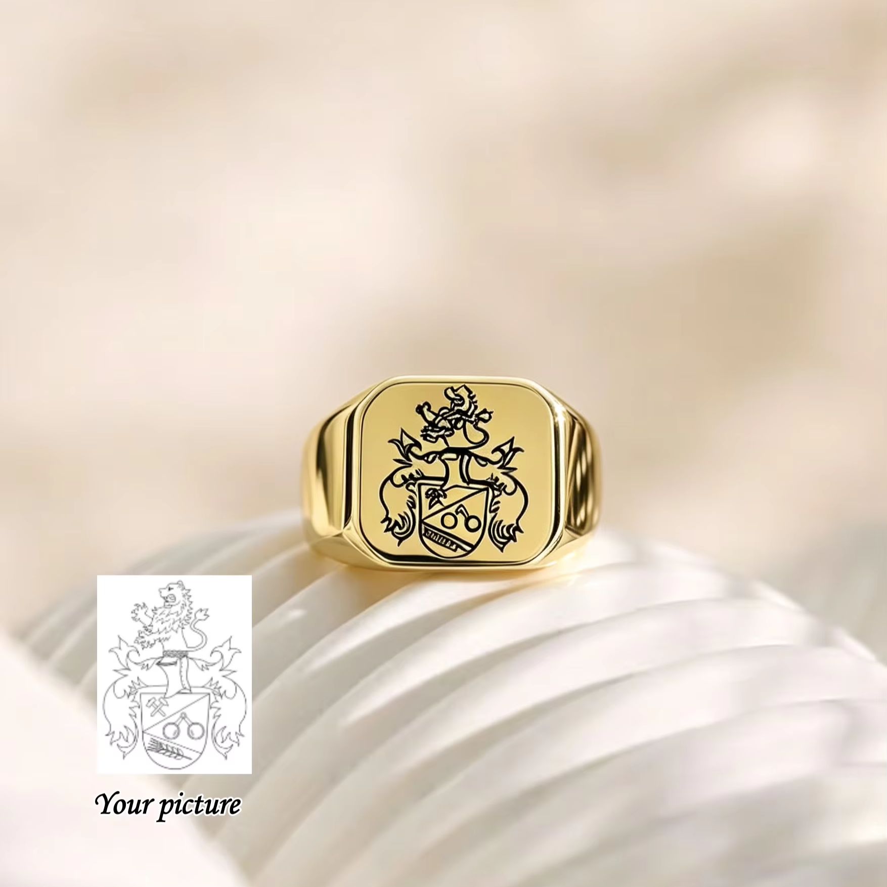 Cincin Stempel Lambang Keluarg - Mens Signet Ring ulasan dan harga